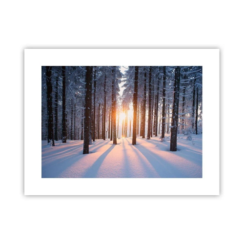 Affisch - Tydligt svart på vitt - 40x30 cm