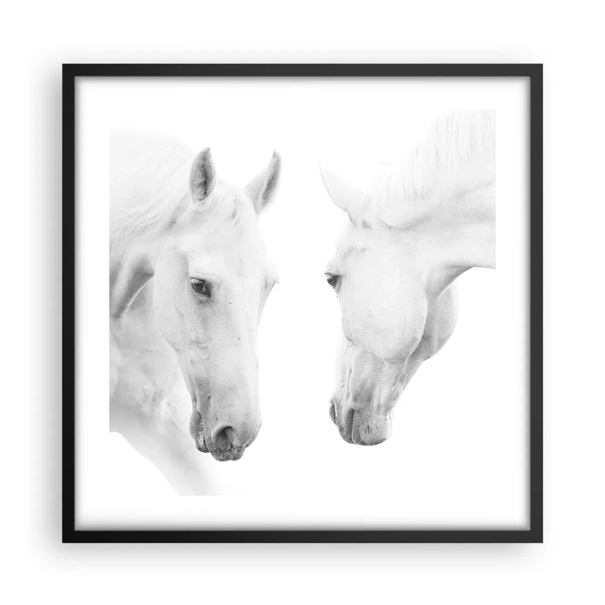 Affisch i svart ram - Är det vänskap…? - 50x50 cm