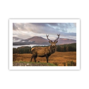 Affisch - Naturens majestät - 70x50 cm