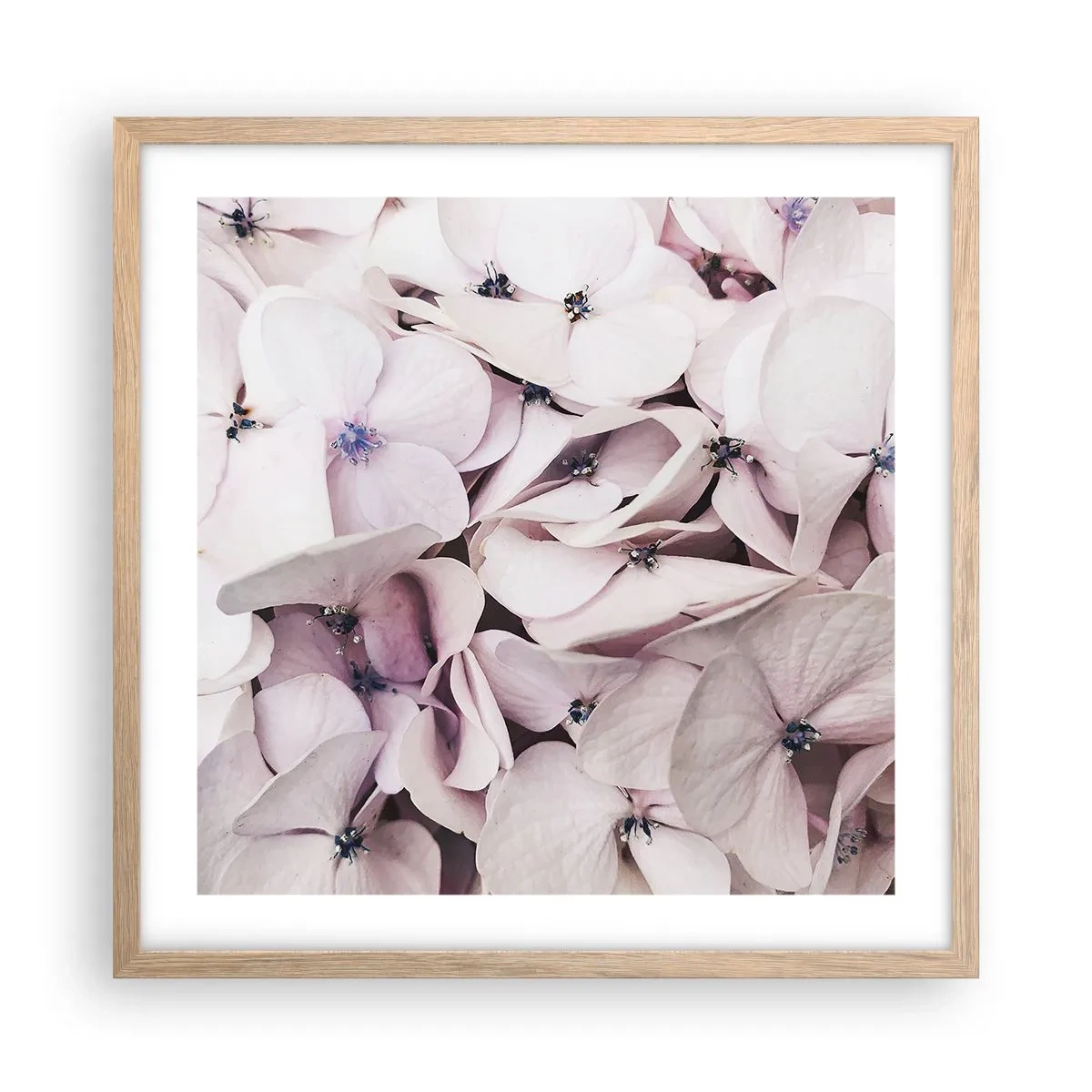 Affisch i ram av ljusek - I en flod av blommor - 50x50 cm