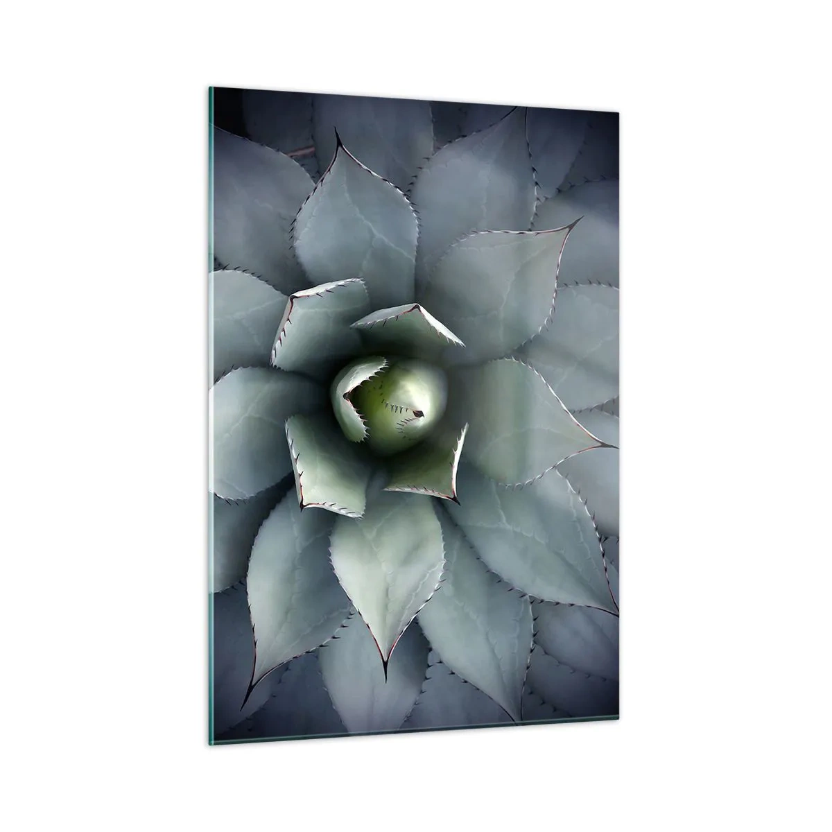 Glastavla - Bild på glas - Lockar och varnar - 50x70 cm
