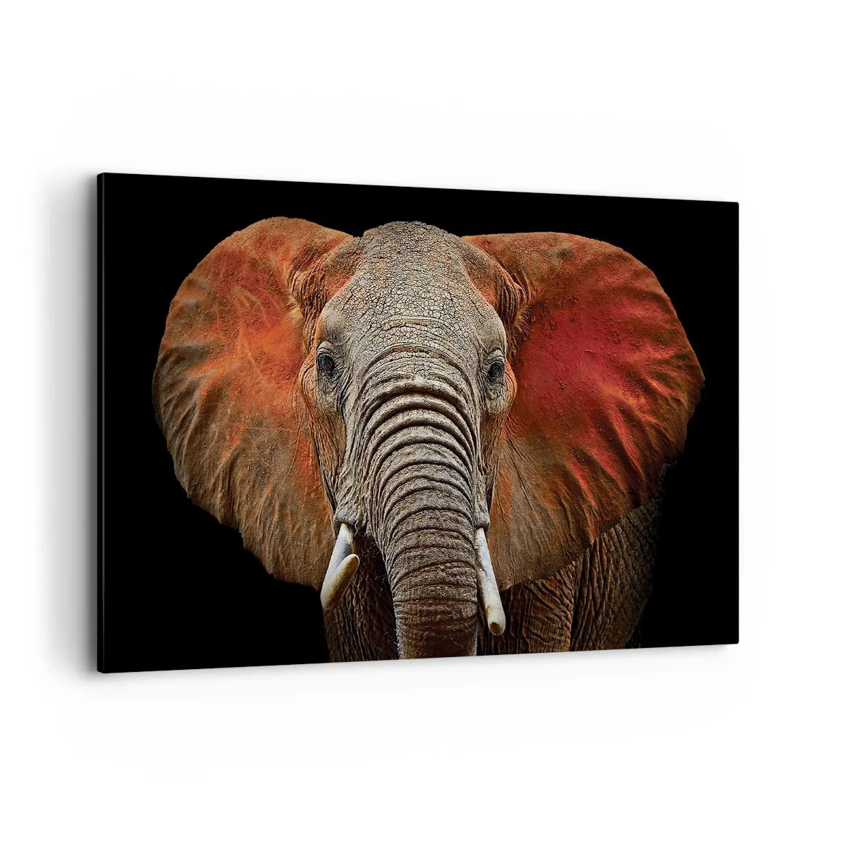 Canvastavla - Bild på duk - Jag är vild, och du? - 120x80 cm