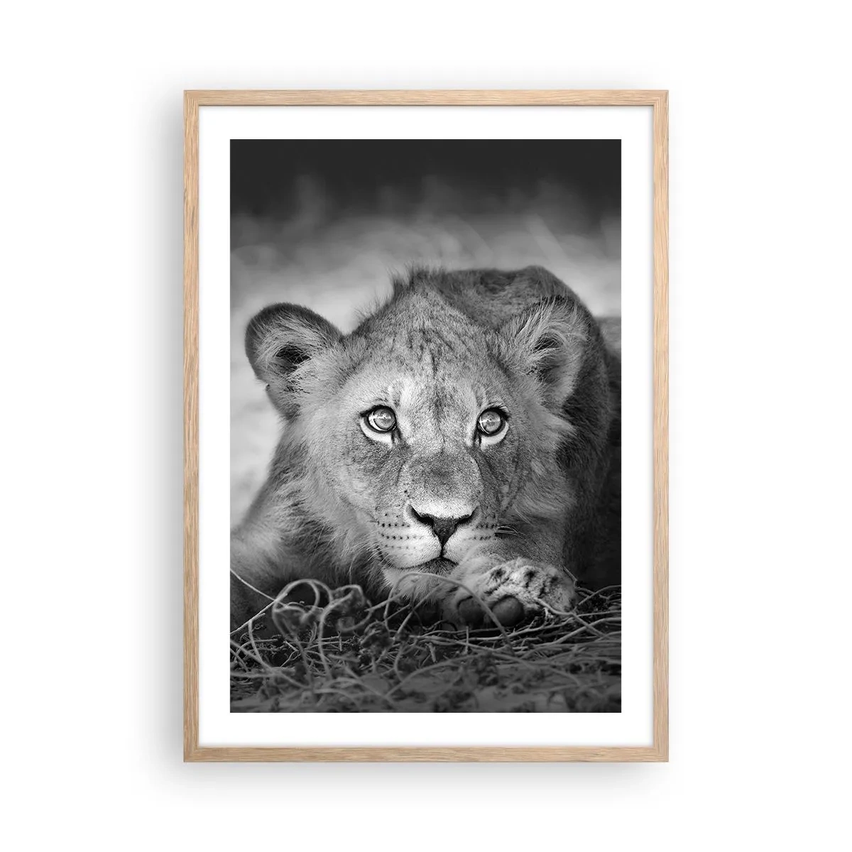 Affisch i ram av ljusek - Kunglig valp - 50x70 cm