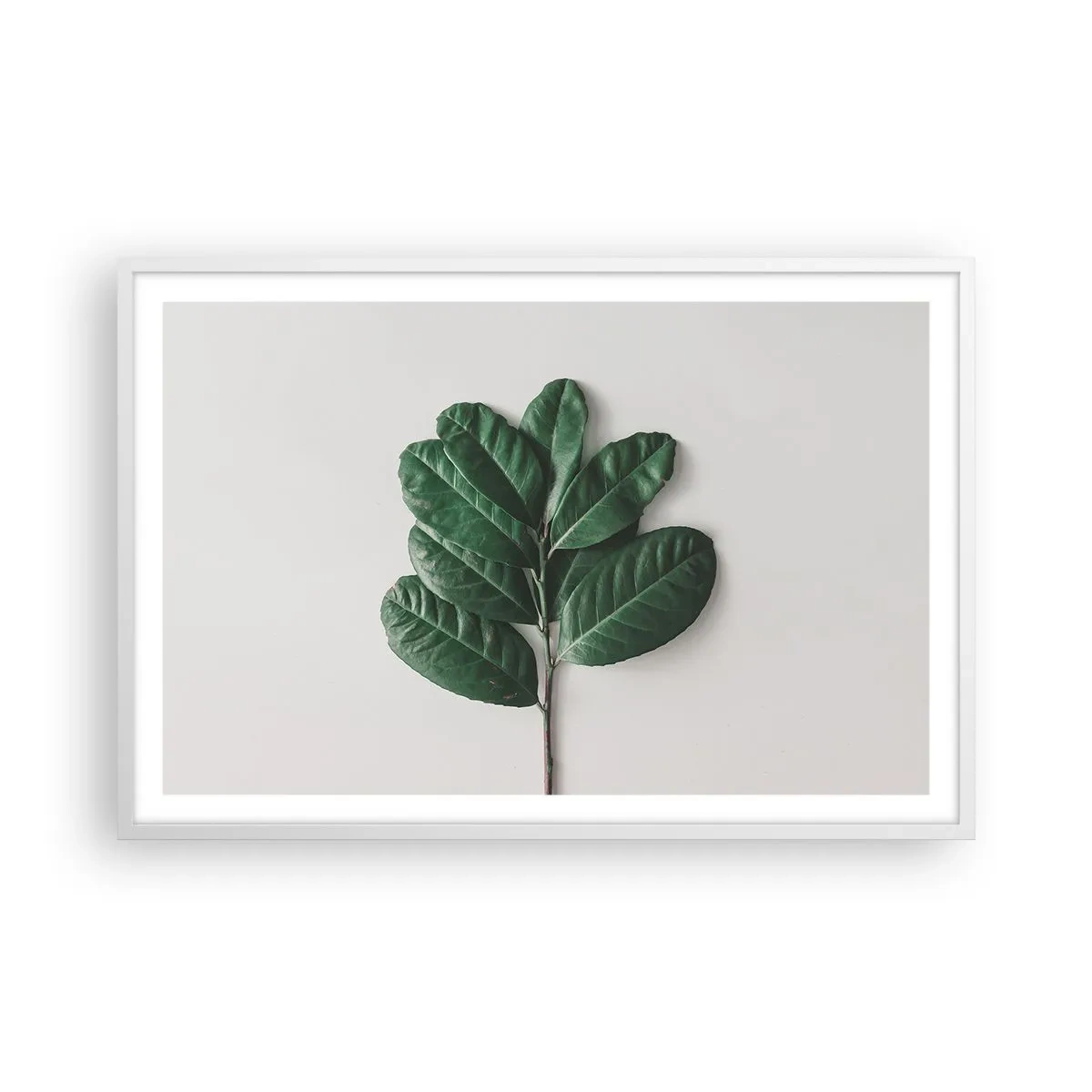 Affisch i vit ram - Själva naturens bild - 91x61 cm