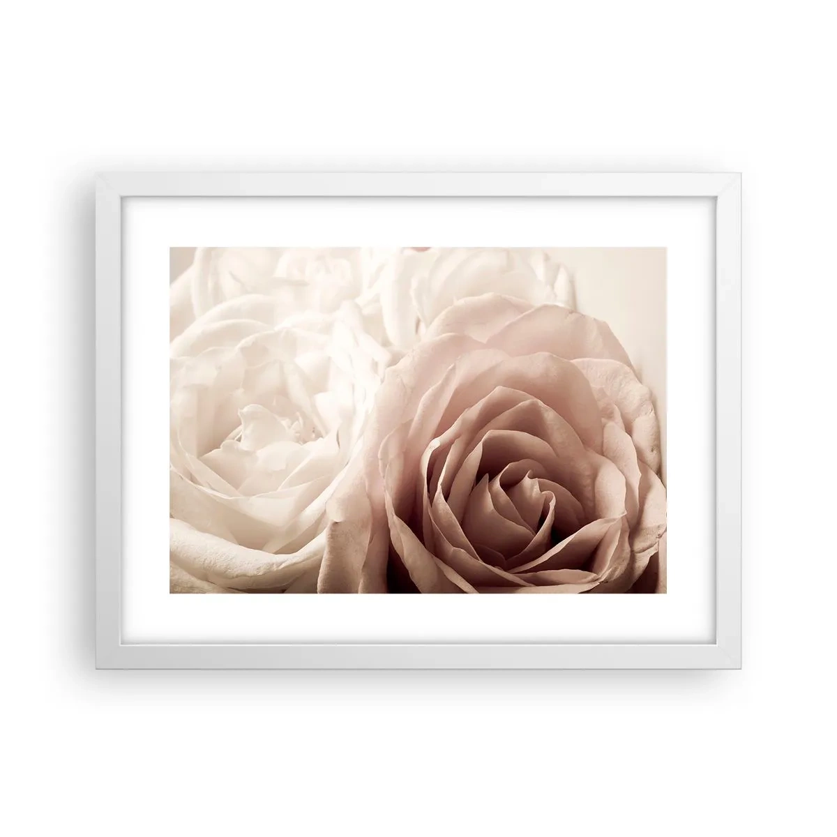 Affisch i vit ram - I hjärtat av en ros - 40x30 cm