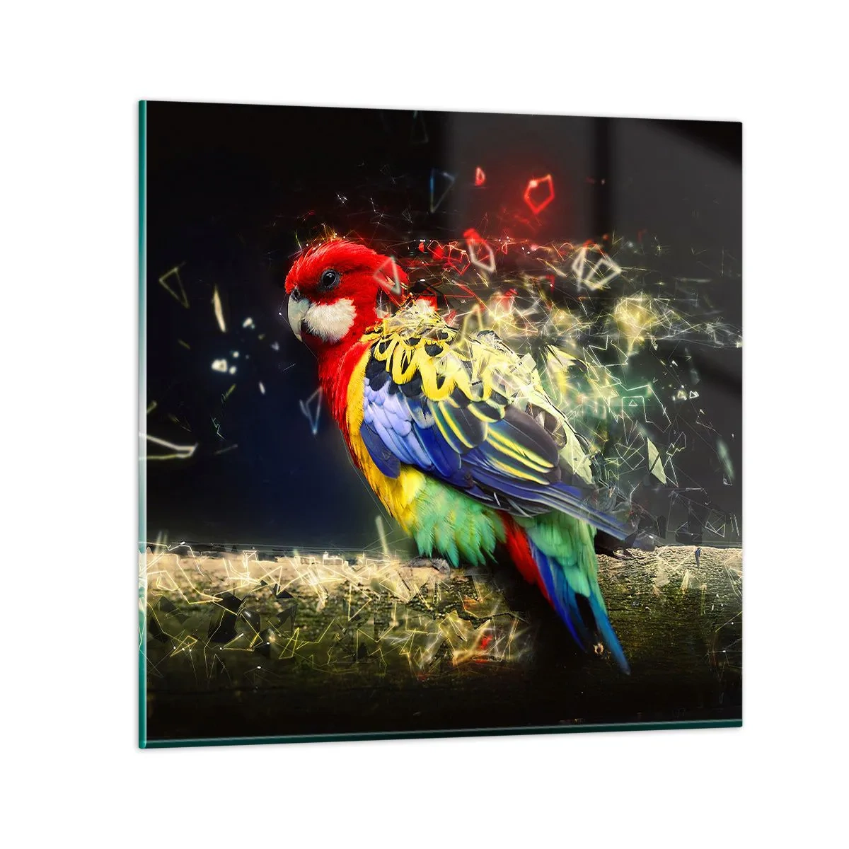 Glastavla - Bild på glas - Skenets bud - 40x40 cm