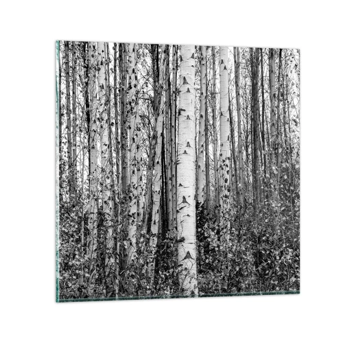 Glastavla - Bild på glas - Björkpelargång - 70x70 cm