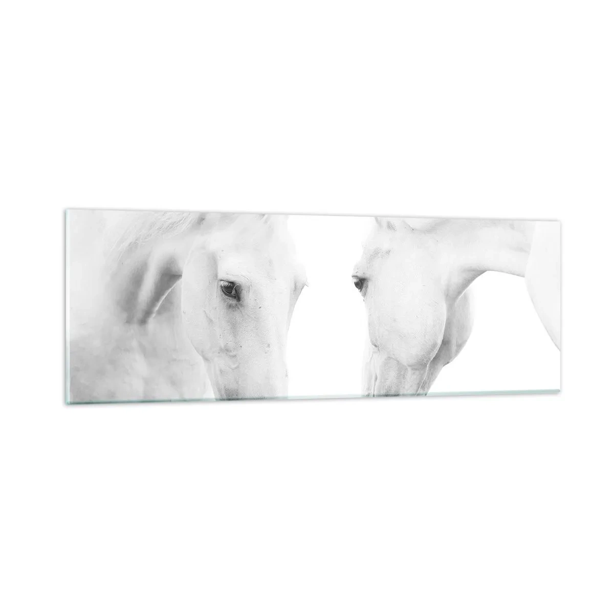 Glastavla - Bild på glas - Är det vänskap…? - 90x30 cm