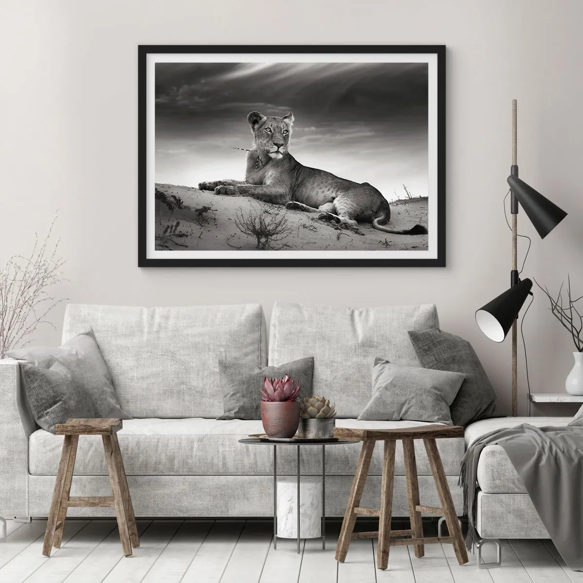 Affisch i svart ram - Öknens drottnings vila - 91x61 cm