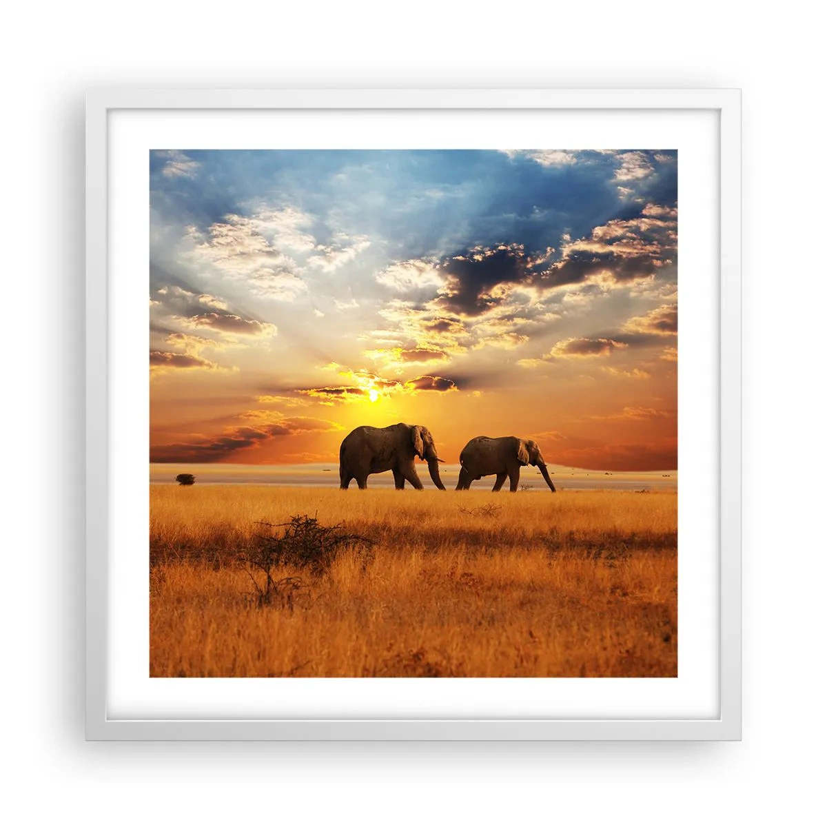 Affisch i vit ram - Familjepromenad - 50x50 cm