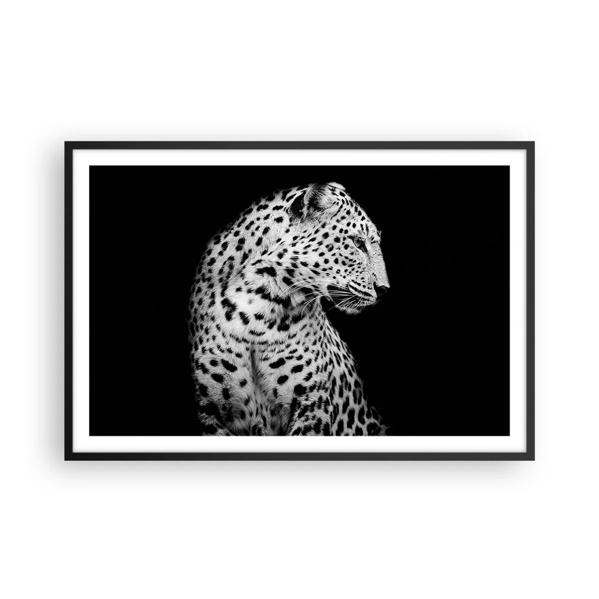 Affisch i svart ram - Perfekt höger profil! - 91x61 cm