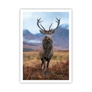 Affisch - På egen mark - 70x100 cm