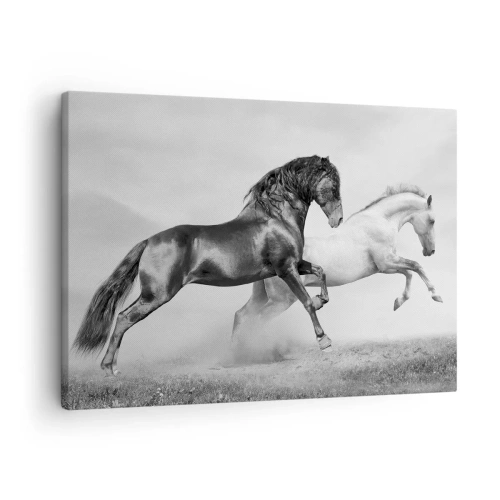Canvastavla - Bild på duk - Två galopperande hästar i en dynamisk svartvit komposition - 70x50cm - Änglar och demoner - Modern väggdekoration för vardagsrum och sovrum ARTTOR