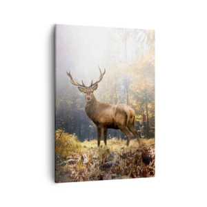 Canvastavla - Bild på duk - I fullt majestät - 50x70 cm