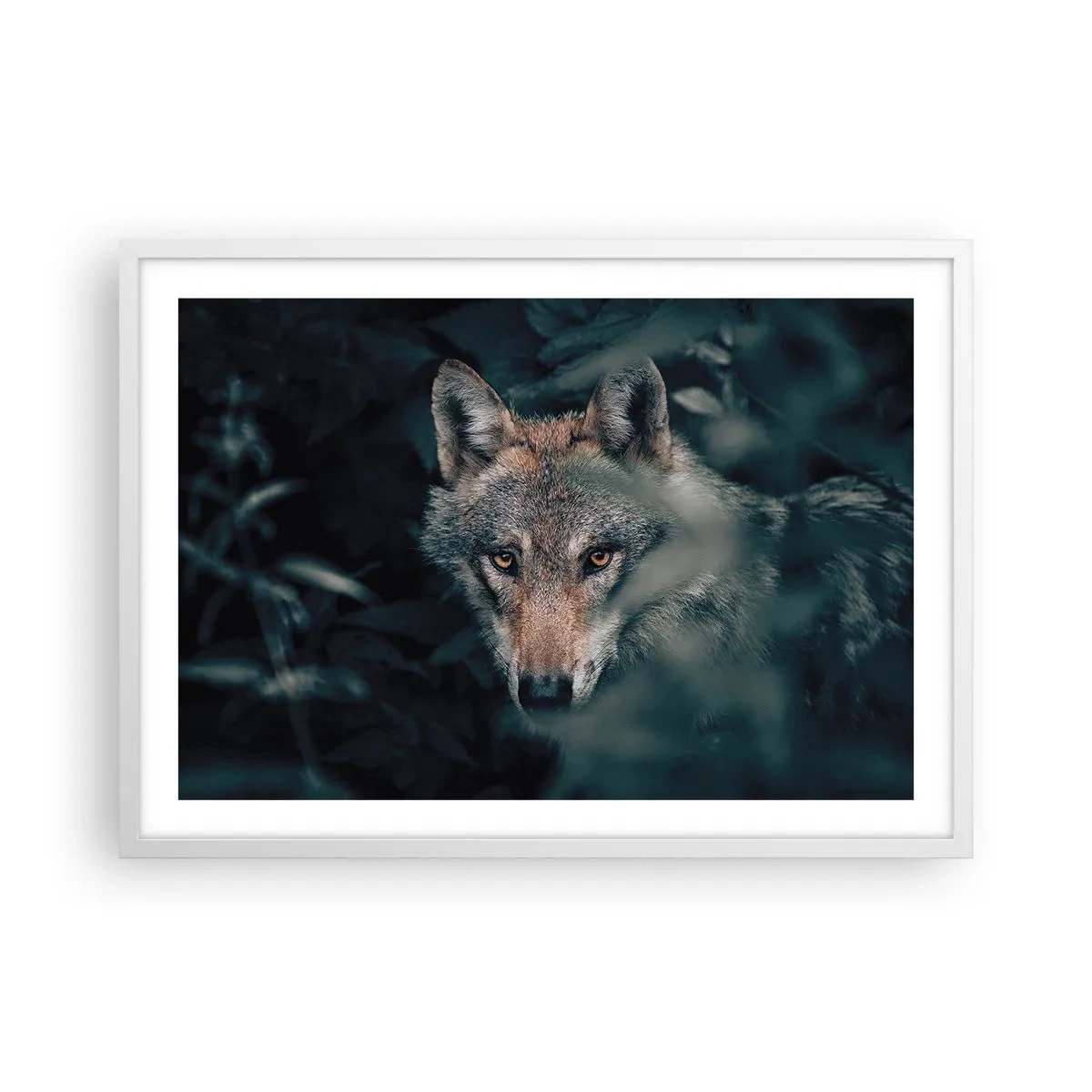 Affisch i vit ram - Jägare - 70x50 cm