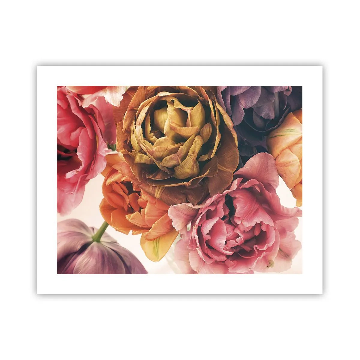 Affisch - Livets högtid - 50x40 cm