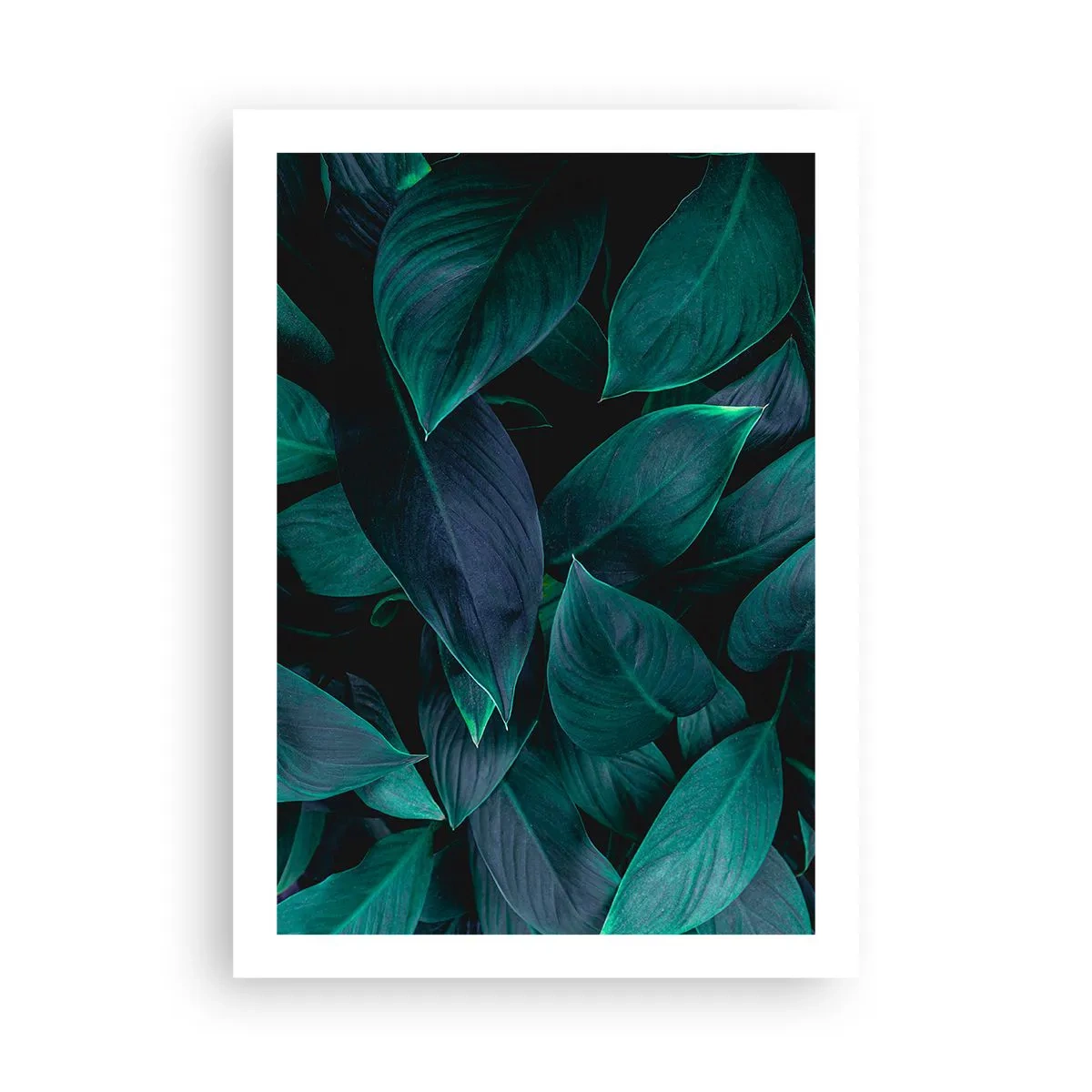 Affisch - Grönskan själv - 50x70 cm