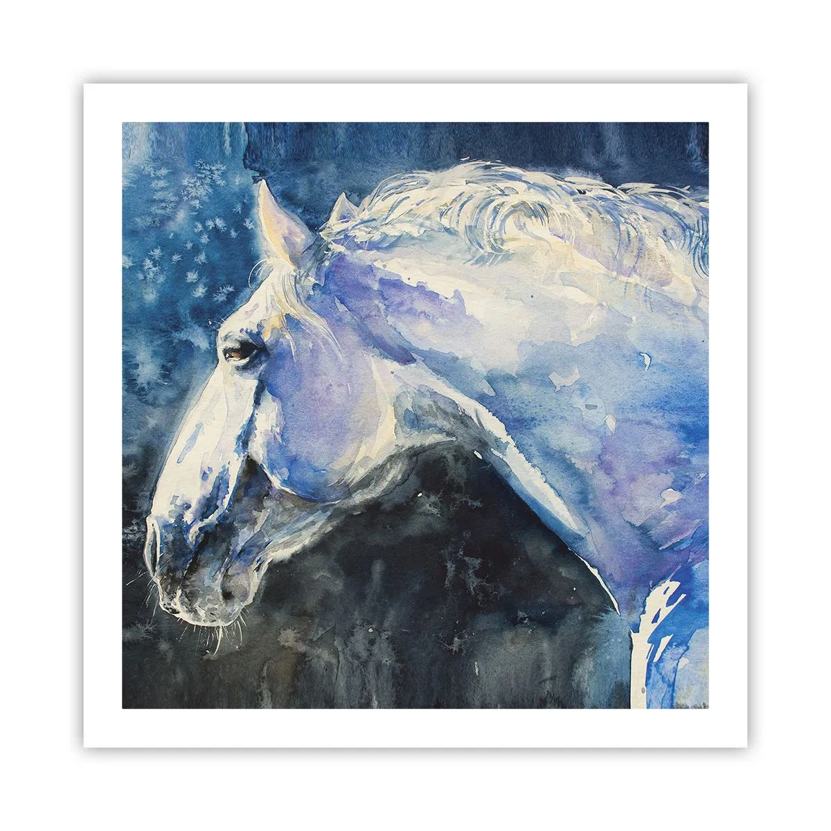 Affisch - Porträtt i blått sken - 60x60 cm
