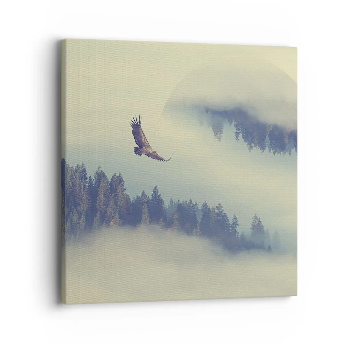 Canvastavla - Bild på duk - Örnens skugga - 40x40 cm