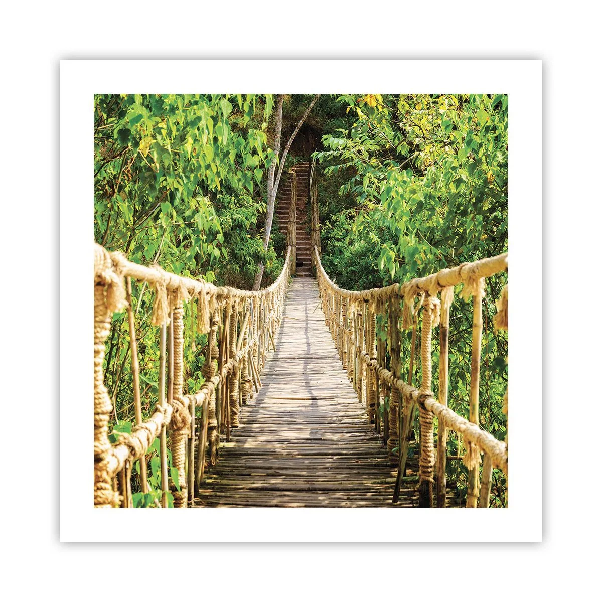 Affisch - Upphängd i grönskan - 50x50 cm