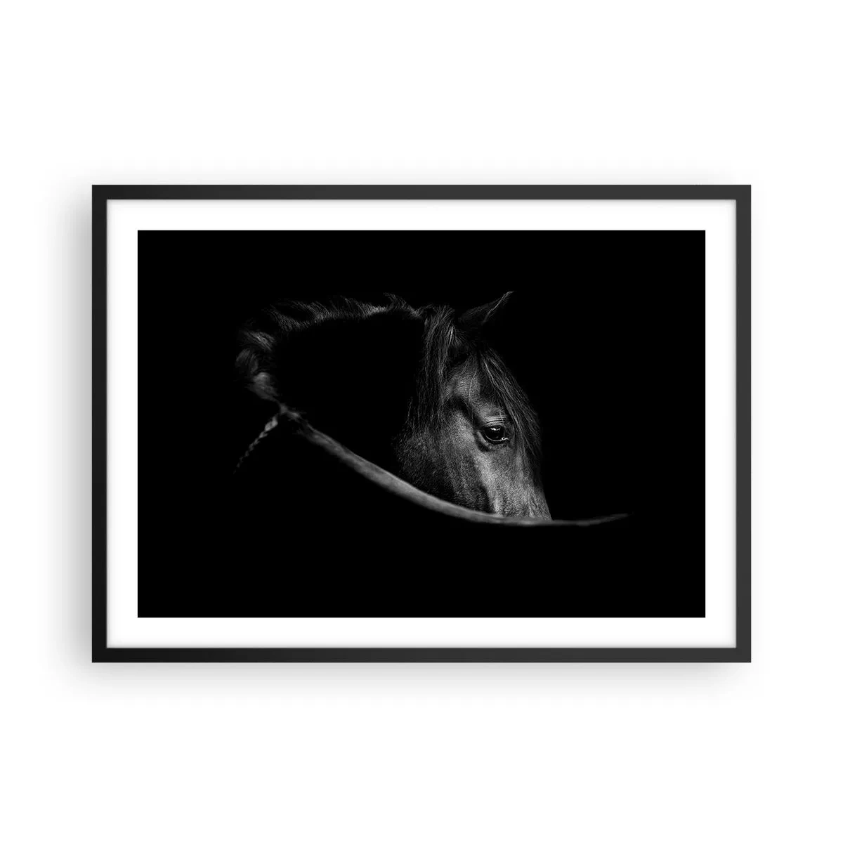 Affisch i svart ram - Svart prins - 70x50 cm