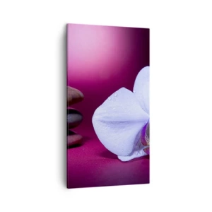 Canvastavla - Bild på duk - En fräschhetsstudie i violett - 45x80 cm