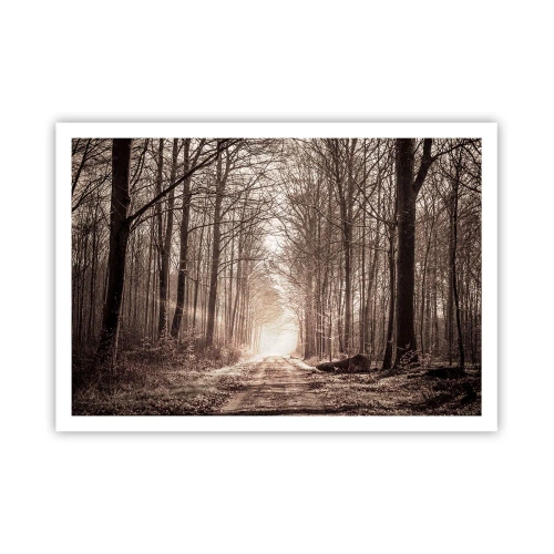 Affisch - Skogens domkyrka - 100x70 cm