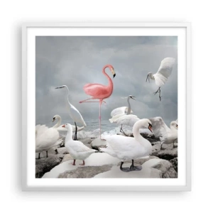 Affisch i vit ram - Hur har jag hamnat här? - 60x60 cm