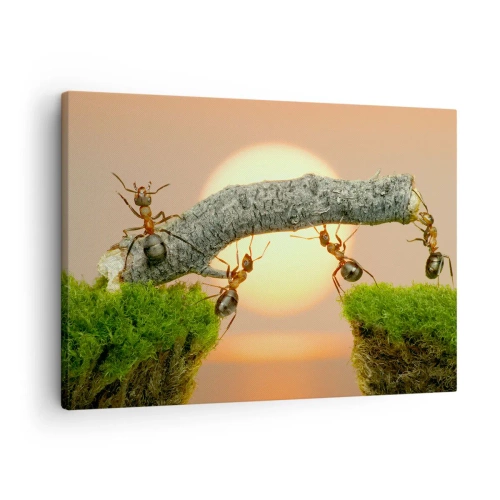 Canvastavla - Bild på duk - Myror bygger en bro av grenar mot bakgrund av den nedgående solen. - 70x50cm - Glatt, gemensamt arbete - Modern väggdekoration för vardagsrum och sovrum ARTTOR