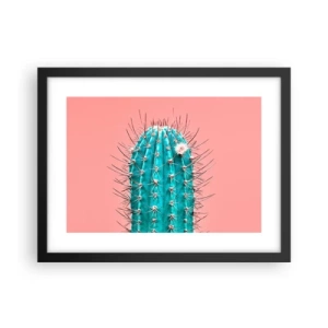 Affisch i svart ram - Titta bara - 40x30 cm