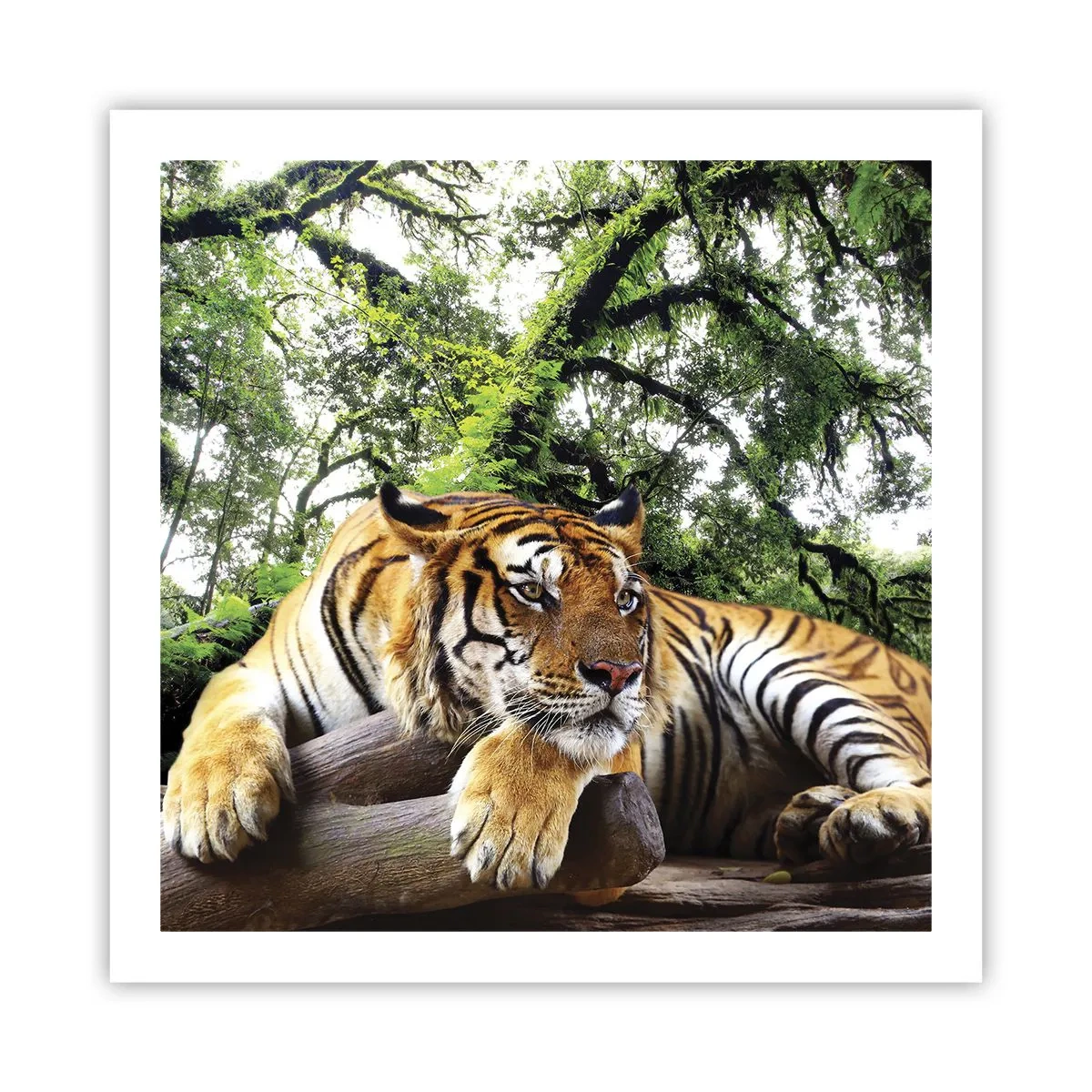 Affisch - Med vänlig hälsning - 60x60 cm