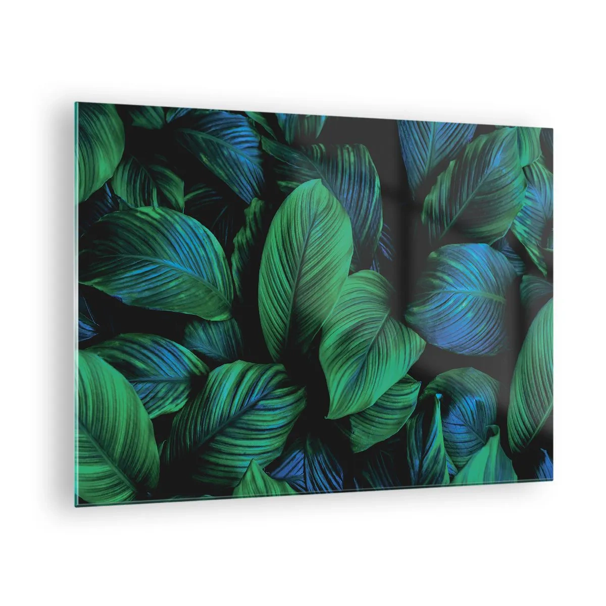 Glastavla - Bild på glas - Närbild av löv i intensiva gröna nyanser - 70x50cm - I gröna folkmassan - Modern väggdekoration för vardagsrum och sovrum ARTTOR