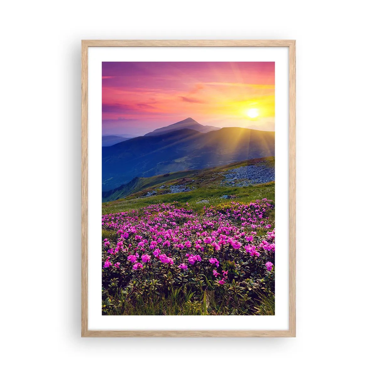 Affisch i ram av ljusek - … Bergtallen doftar och örterna luktar runt omkring - 50x70 cm