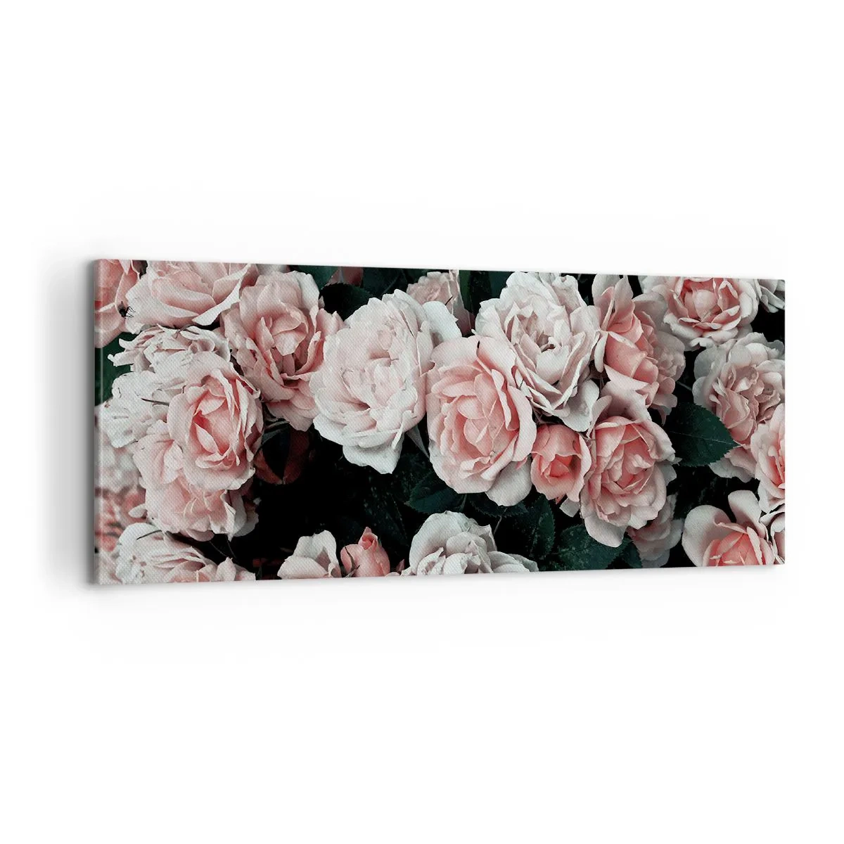 Canvastavla - Bild på duk - Rosansamble - 100x40 cm