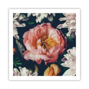 Affisch - Med barockprakt - 60x60 cm