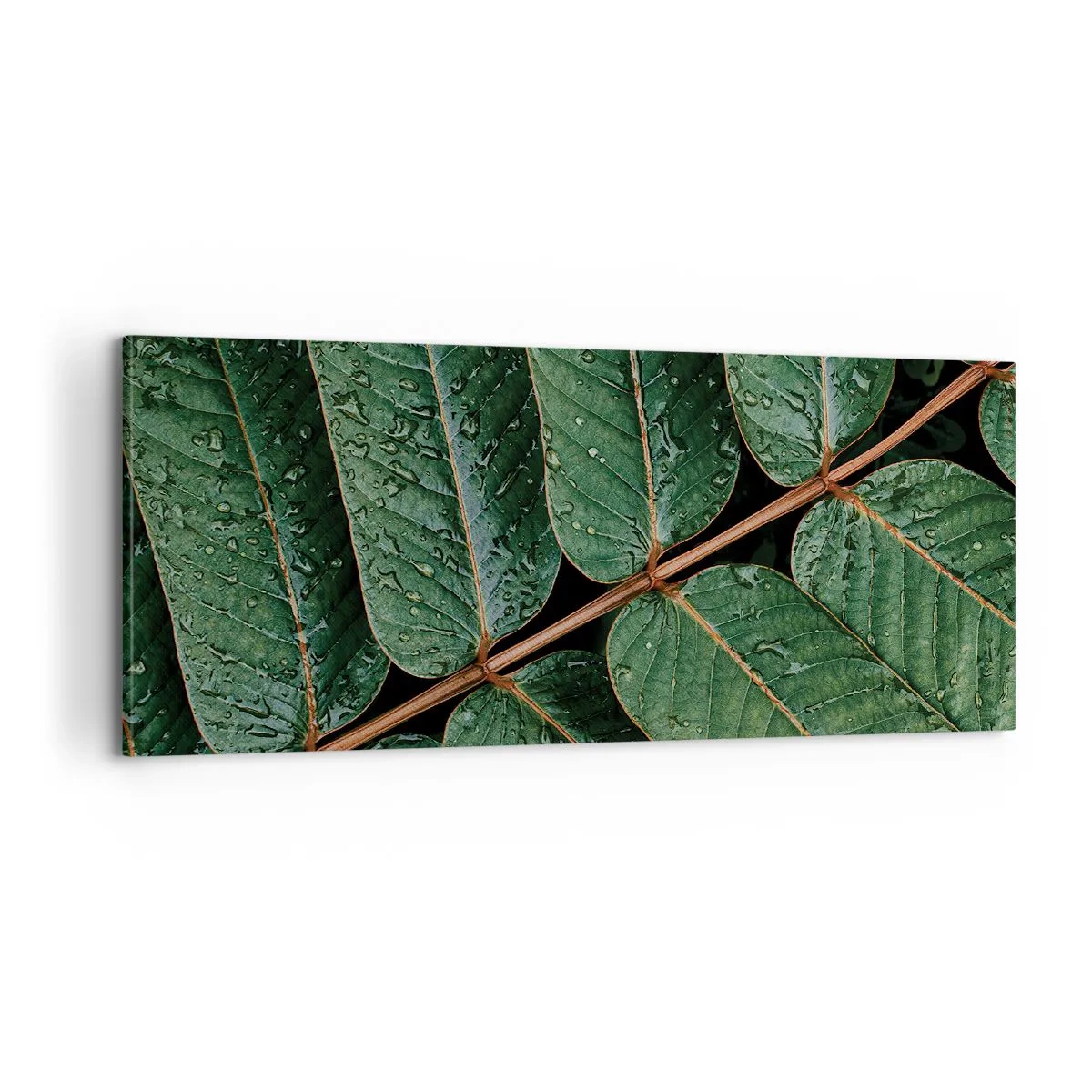 Canvastavla - Bild på duk - I den gröna rytmen - 100x40 cm