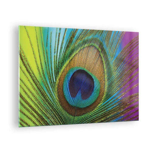 Glastavla - Bild på glas - En närbild av en färgglad påfågelfjäder - 70x50cm - Öga mot öga - Modern väggdekoration för vardagsrum och sovrum ARTTOR