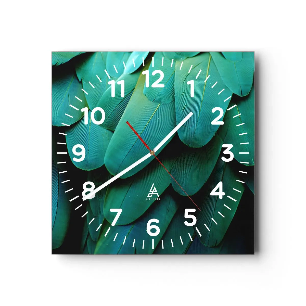 Väggklocka - Klocka på glas - Precision av papegojans natur - 30x30 cm