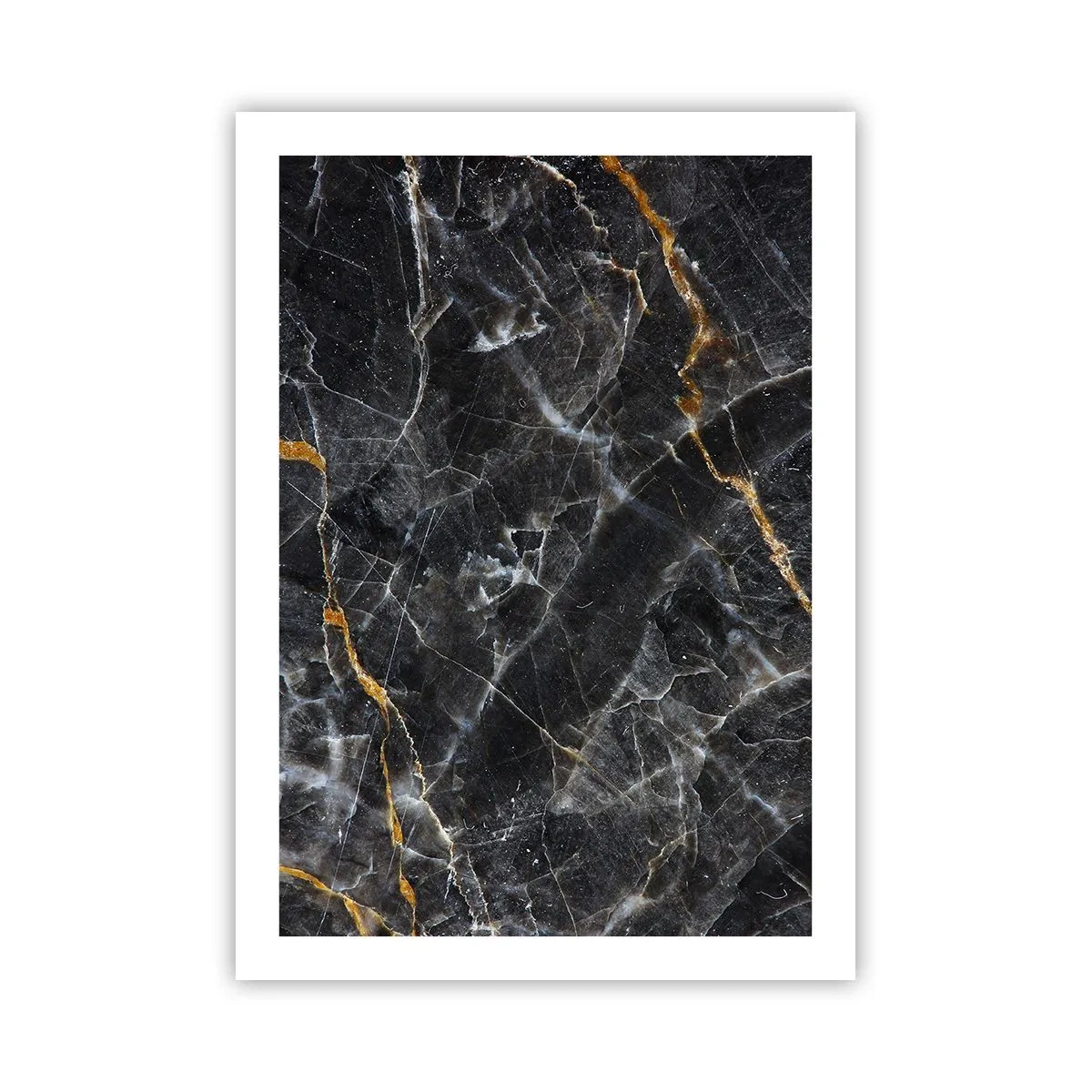 Affisch - Stenens interna liv - 50x70 cm