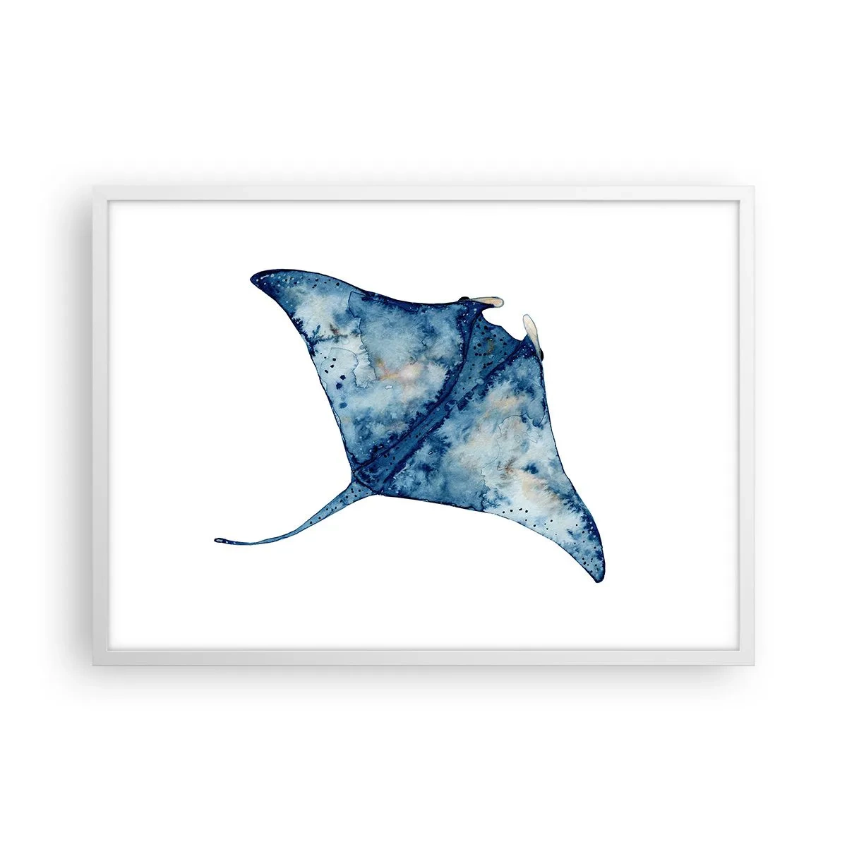 Affisch i vit ram - Liv i blått - 70x50 cm