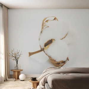 Fototapet på mått Premium Canvas - Mjuk av naturen - Bomull, Minimalistisk, Blomma