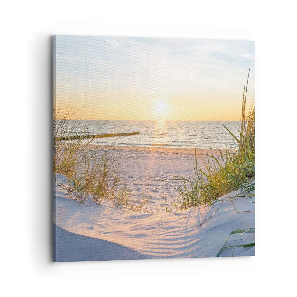 Canvastavla - Bild på duk - Havets brus, fågelsång, tom strand bland träden - 70x70 cm