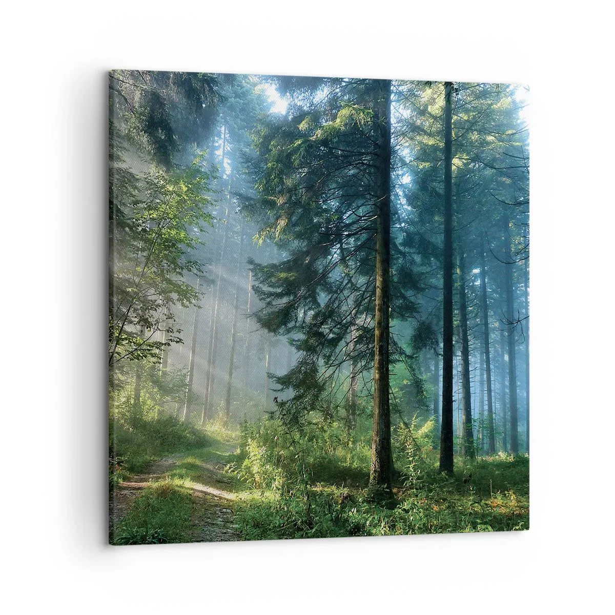 Canvastavla - Bild på duk - Strålande på morgonen - 50x50 cm