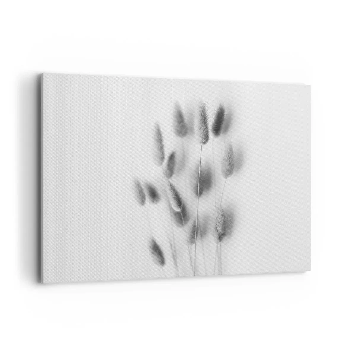 Canvastavla - Bild på duk - Fluffigt gräs - 100x70 cm