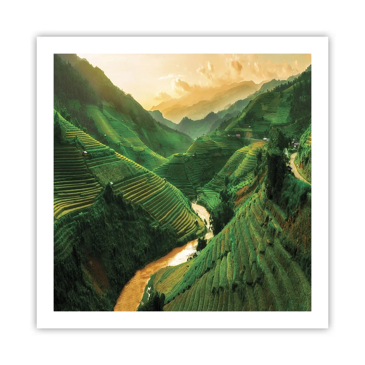 Affisch - Vietnamesisk dal - 60x60 cm