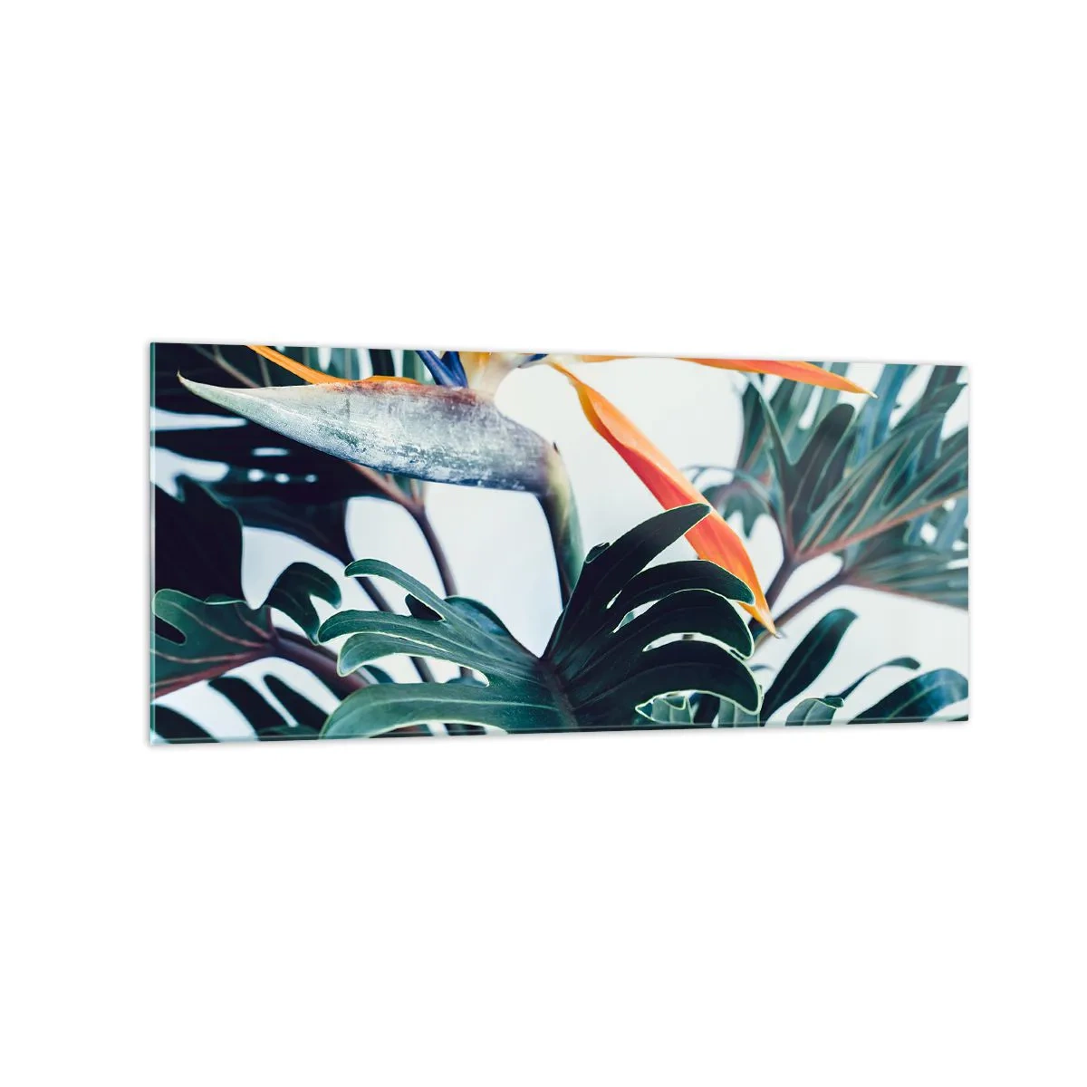 Glastavla - Bild på glas - Fågelbuske - 120x50 cm