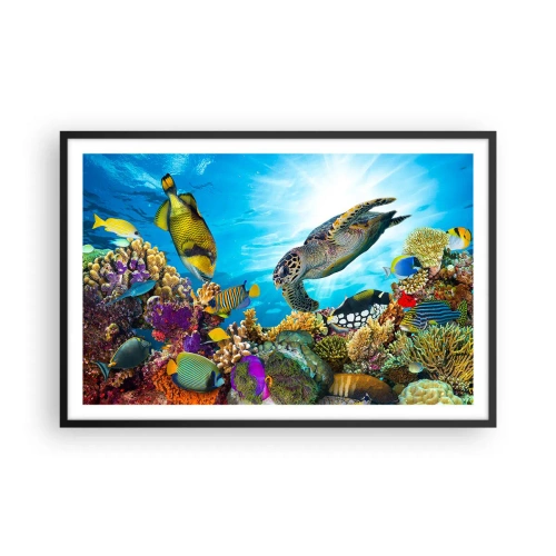 Affisch i svart ram - Korallpromenad - 91x61 cm