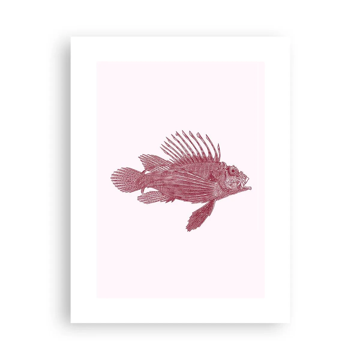 Affisch - En invånare i exotiska vatten - 30x40 cm