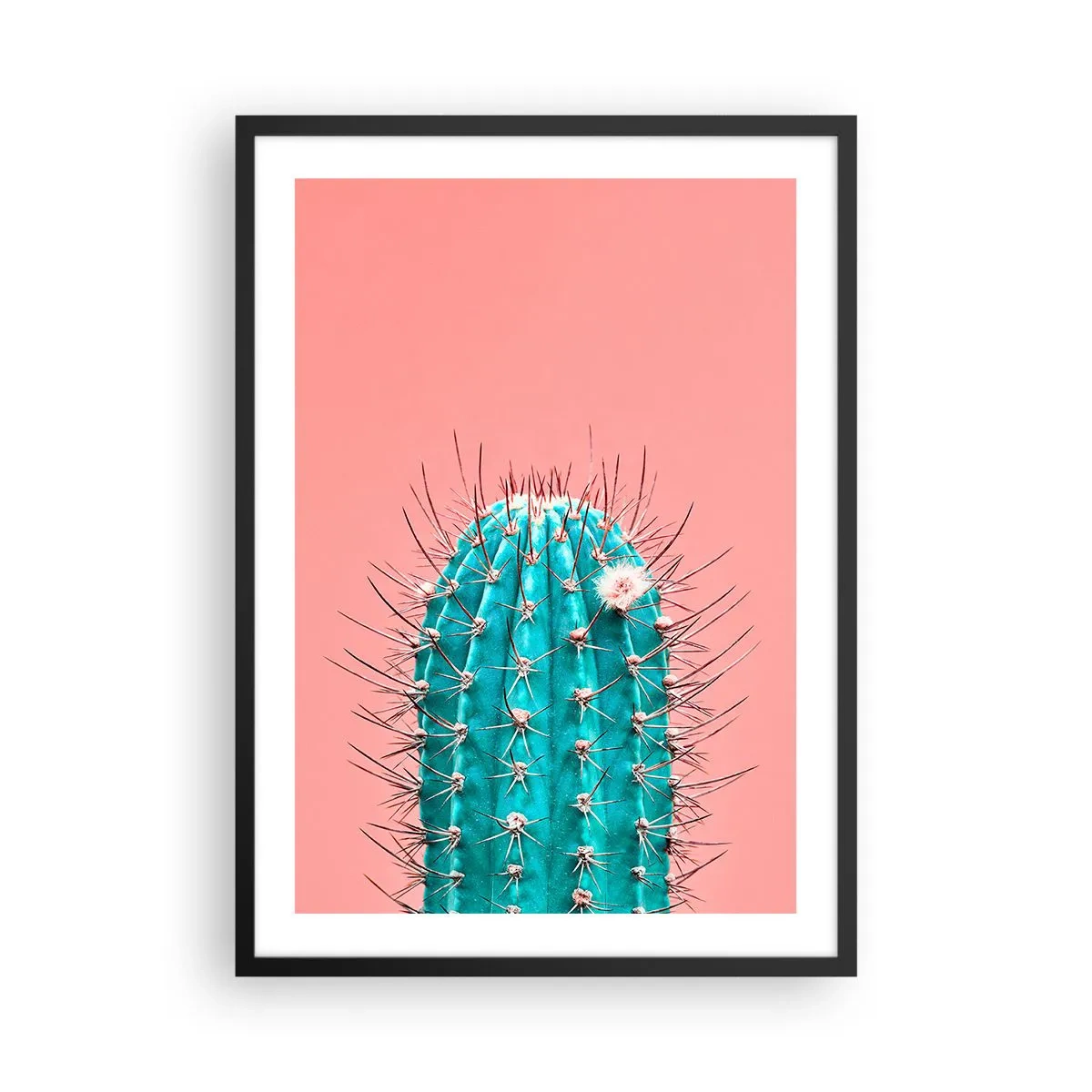 Affisch i svart ram - Turkos kaktus på en rosa bakgrund - 50x70cm - Titta bara - Modern väggdekoration för vardagsrum och sovrum ARTTOR