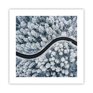 Affisch - Genom vinterskogen - 40x40 cm